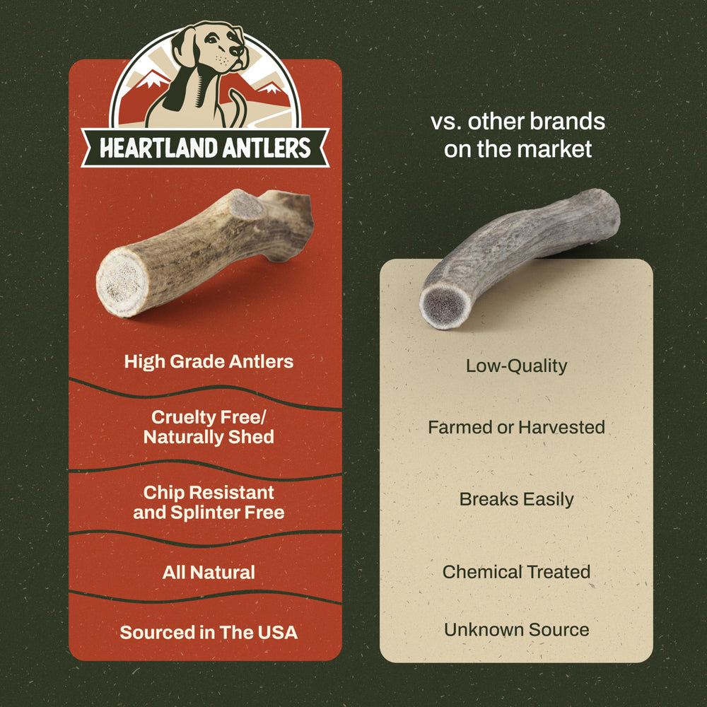 Heartland Antlers sustainably sourced elk antler with no additives