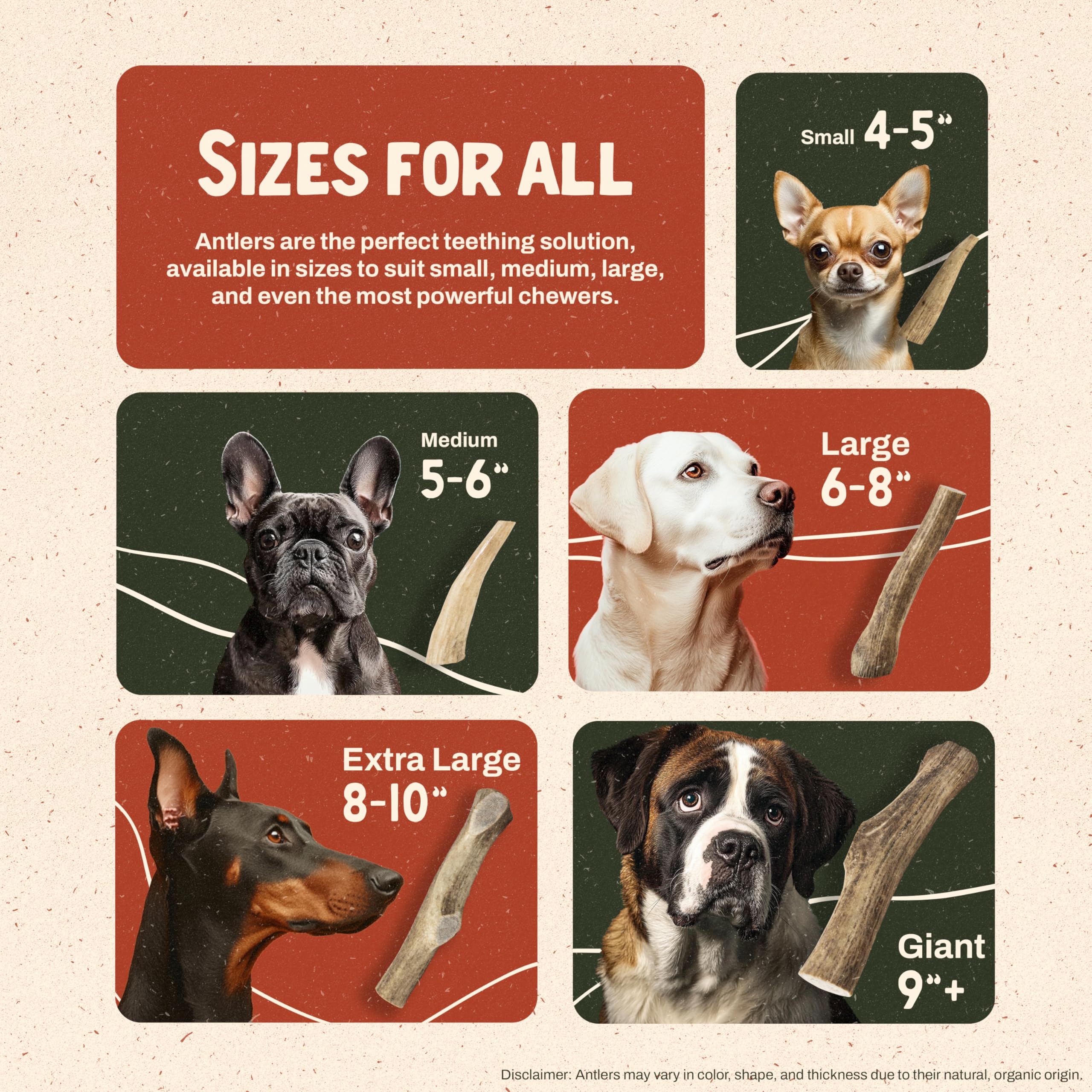 Heartland Antlers odorless-mess-free chew keeps living room tidy during play