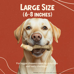 Heartland Antlers USA-made dog chew provides durable, mess-free entertainment for indoor use.