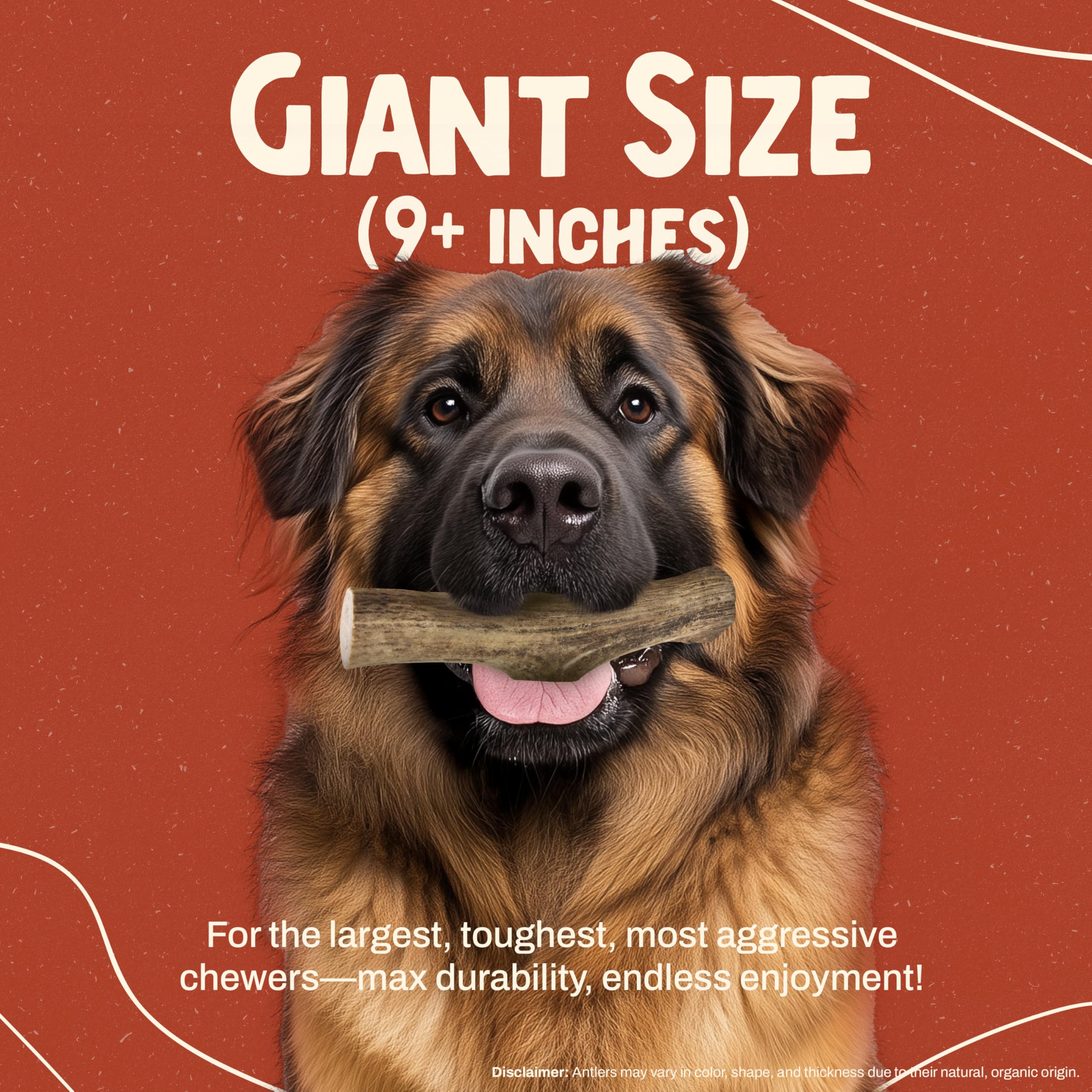 Heartland Elk Antlers for dogs, dental-benefits 9-inch chew helps reduce plaque and tartar naturally.