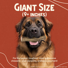 Heartland Elk Antlers for dogs, dental-benefits 9-inch chew helps reduce plaque and tartar naturally.