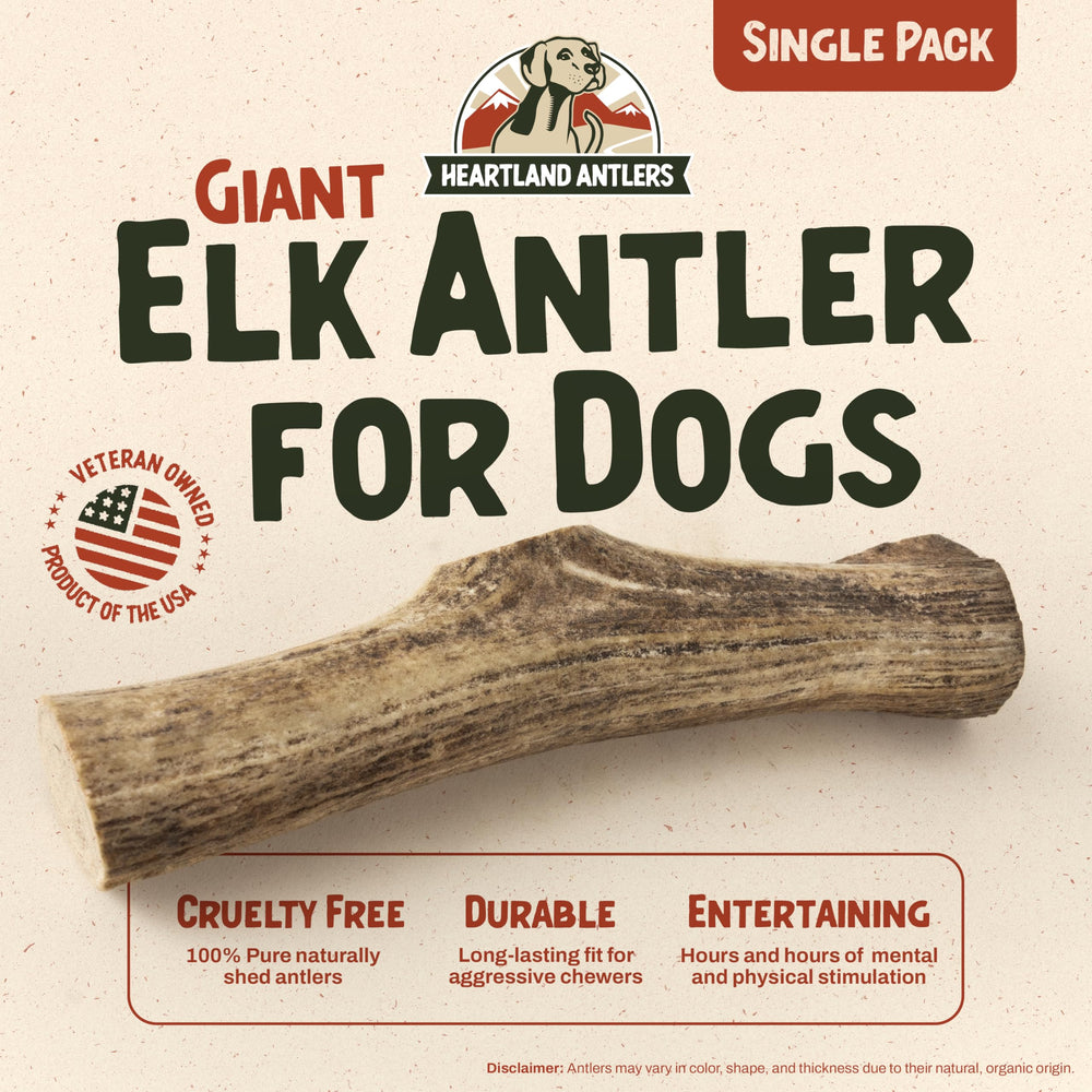Heartland Elk Antlers for dogs, splinter-free 9-inch chew for safe, mess-free indoor chewing.