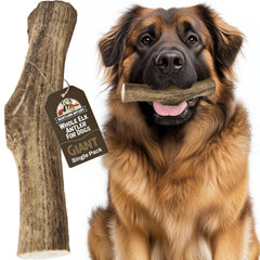 Heartland Elk Antlers for dogs, whole 9-inch chew promotes long-lasting enjoyment and natural dental care.