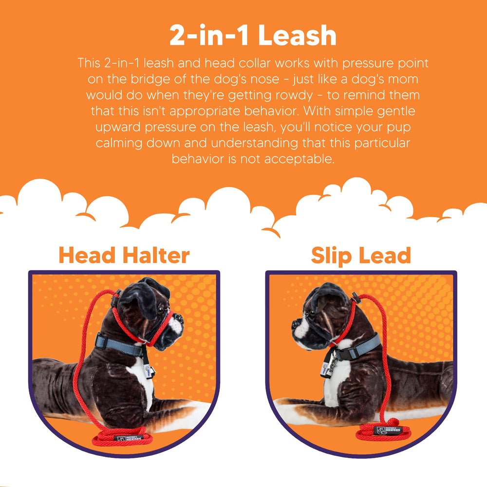 Heather's Heroes Sidekick fosters bond building through positive, non-coercive training.