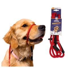 Heather's Heroes Sidekick headcollar on dog's nose provides gentle guidance for calmer, controlled walks.