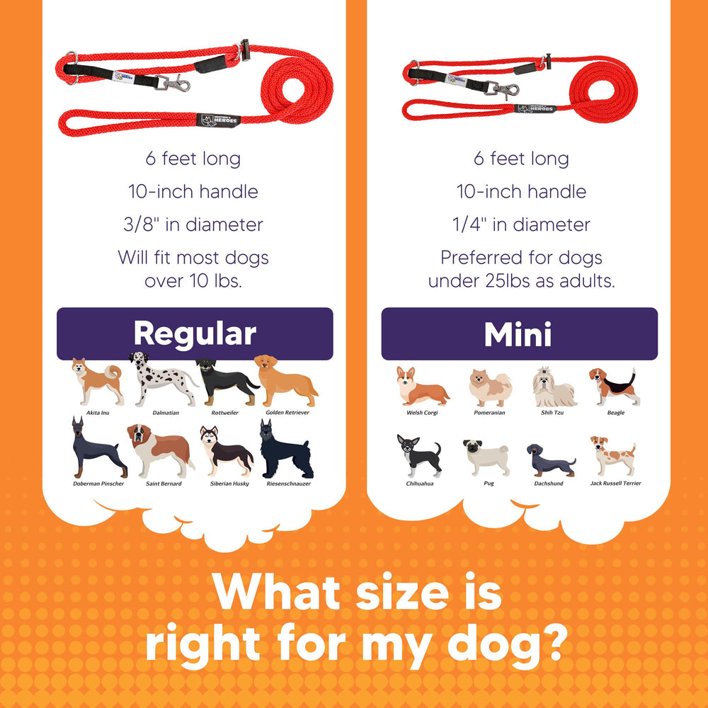 Heather's Heroes Sidekick soft rope shows subtle nose pressure for gentle training.