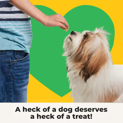 Heckova beef liver dog treats texture close-up conveys crisp freeze-dried crunch.