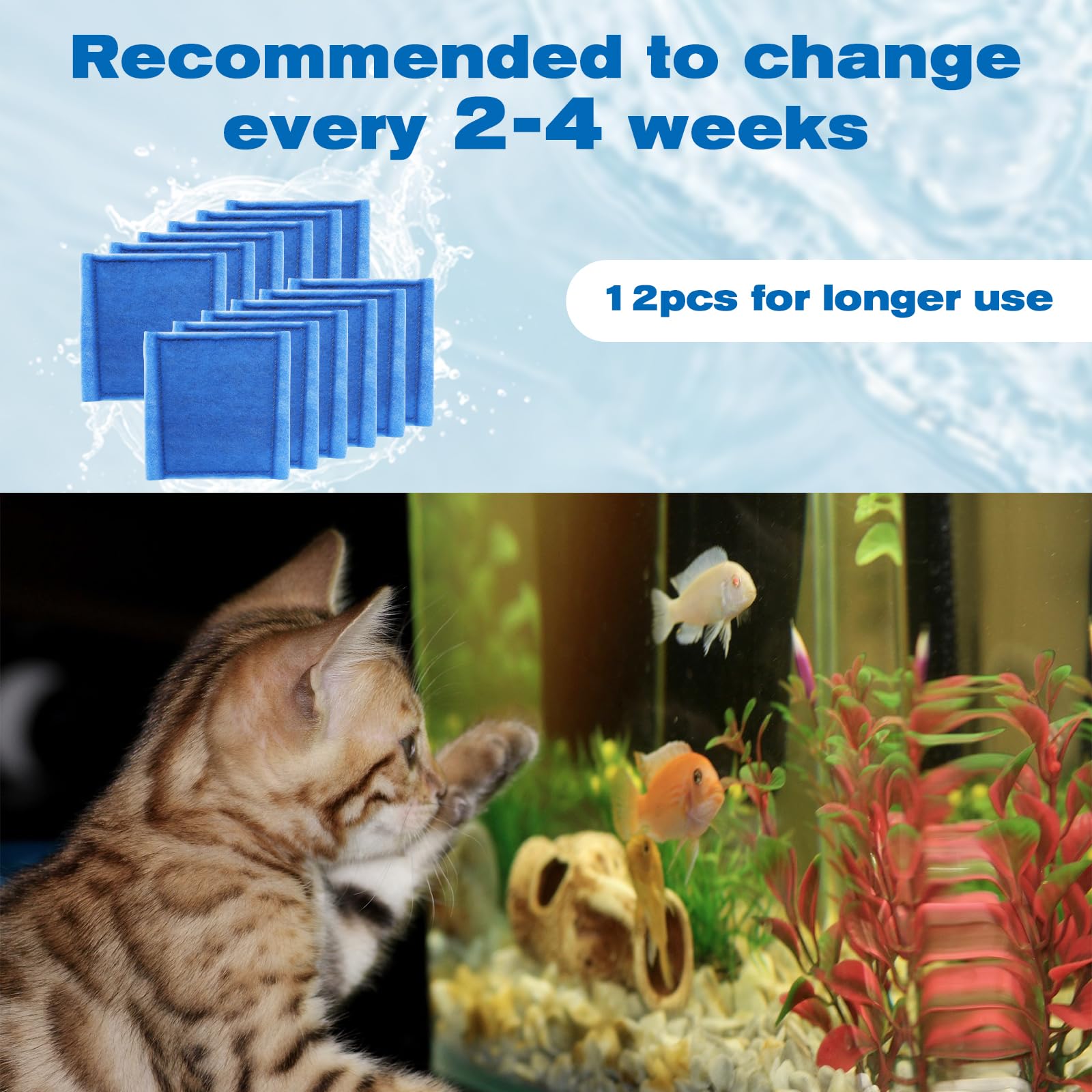 Hedday water-clarity improved by dual-media filtration supports vibrant fish colors.