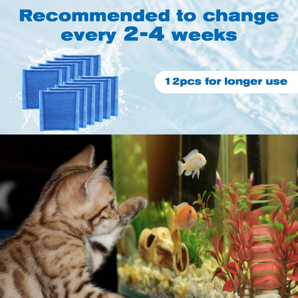 Hedday water-clarity improved by dual-media filtration supports vibrant fish colors.
