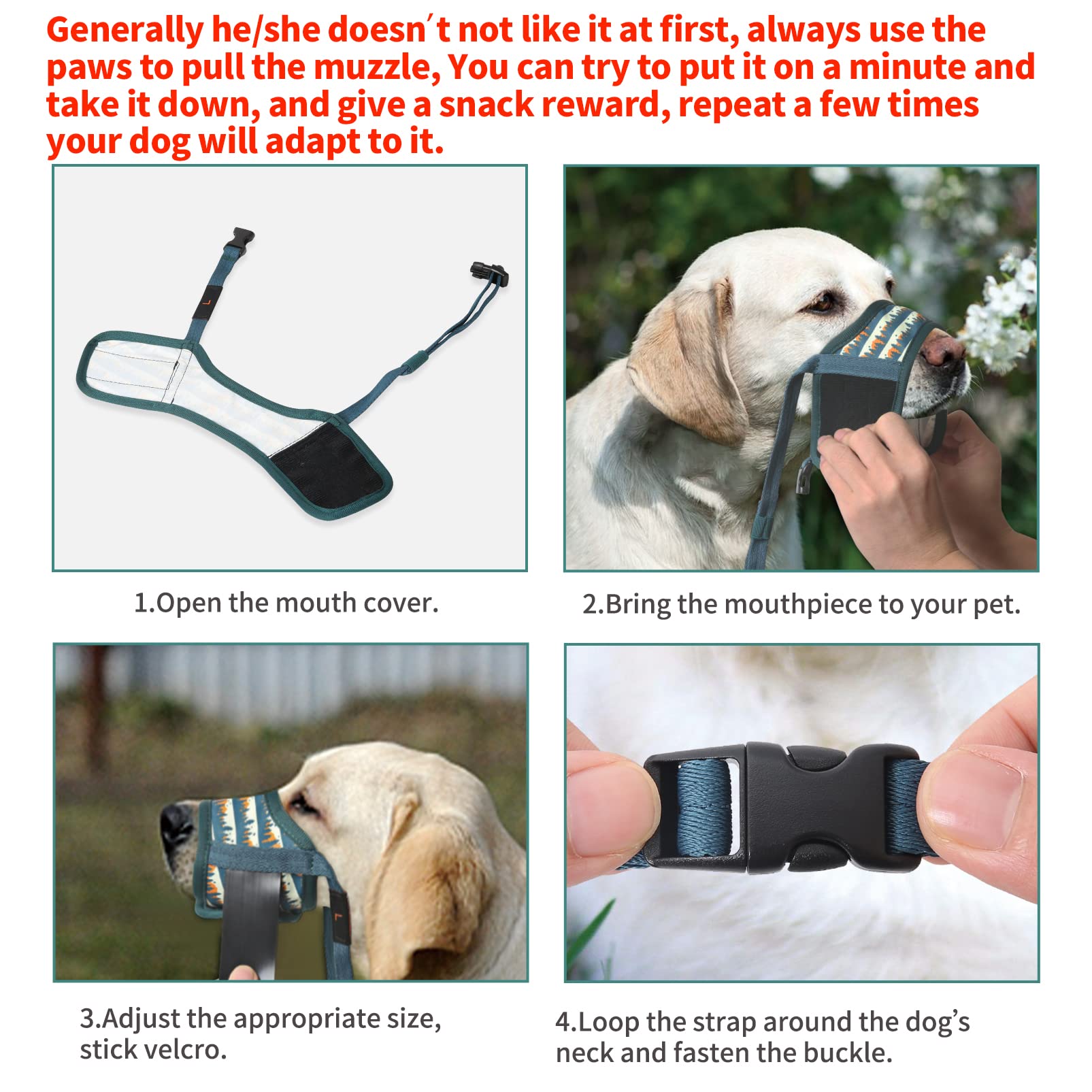 HEELE dog muzzle adjustable strap demonstrates snug anti-slip security during training.