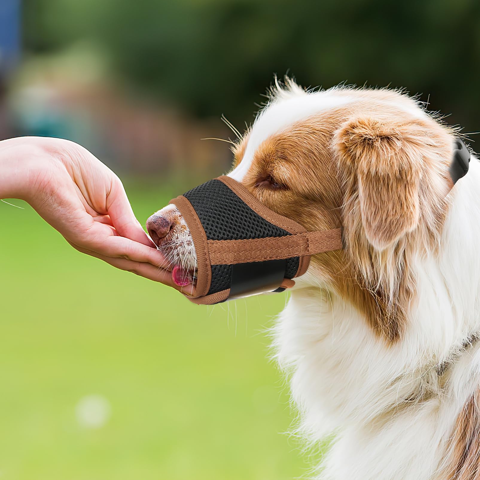 HEELE dog muzzle brown size-m option suits many breeds.