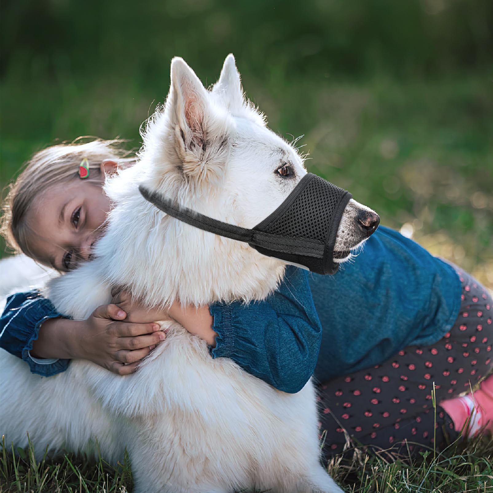 HEELE dog muzzle suitable for different breeds and socialization.