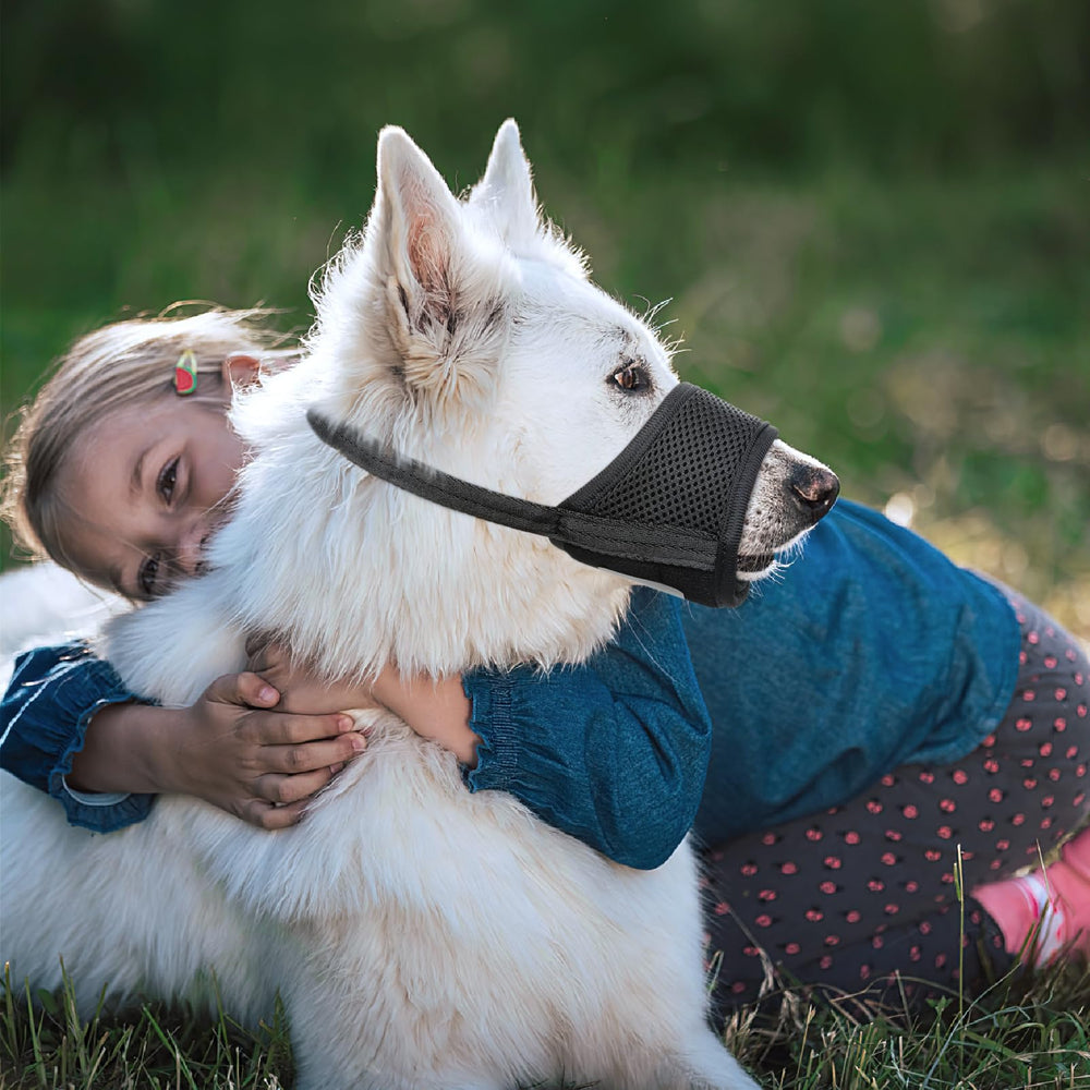 HEELE dog muzzle suitable for different breeds and socialization.