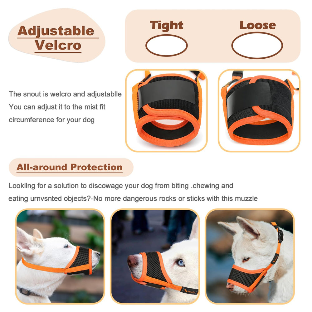 HEELE dog muzzle drink-gap demonstrates drinking space during wear.