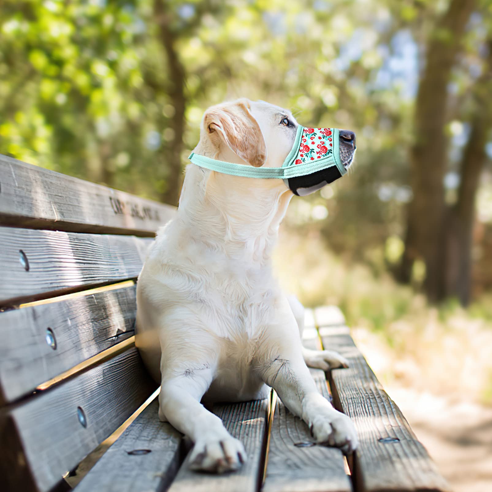 HEELE dog muzzle machine-washable for easy cleaning after outdoor use.