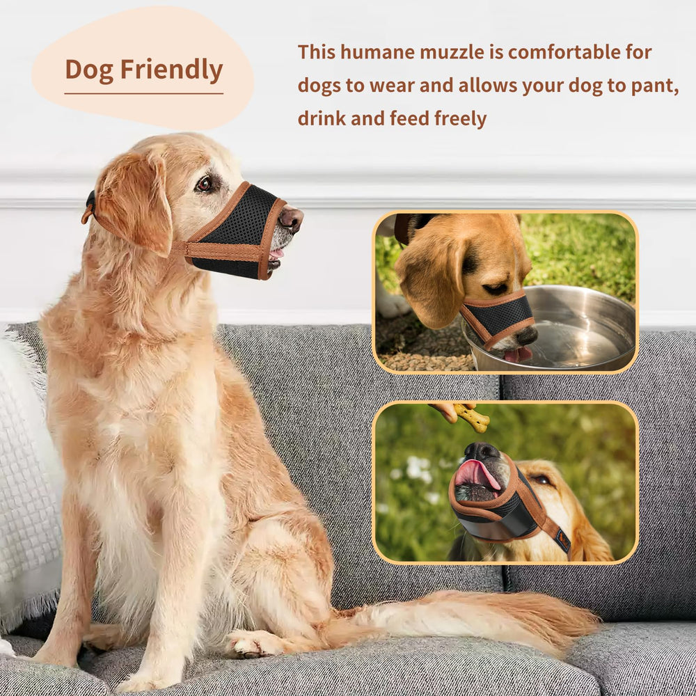 HEELE humane design allows drinking space while preventing bites