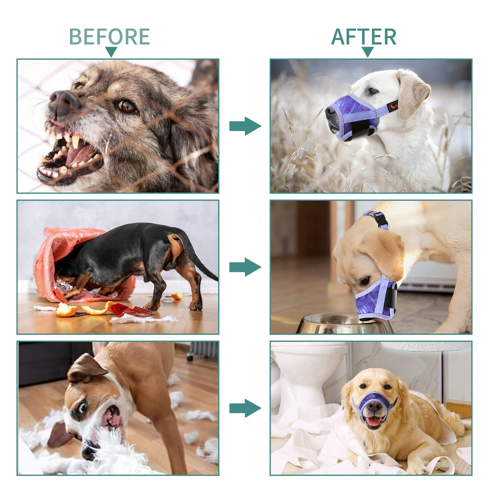 HEELE dog muzzle machine washable for quick cleanup after outdoor use