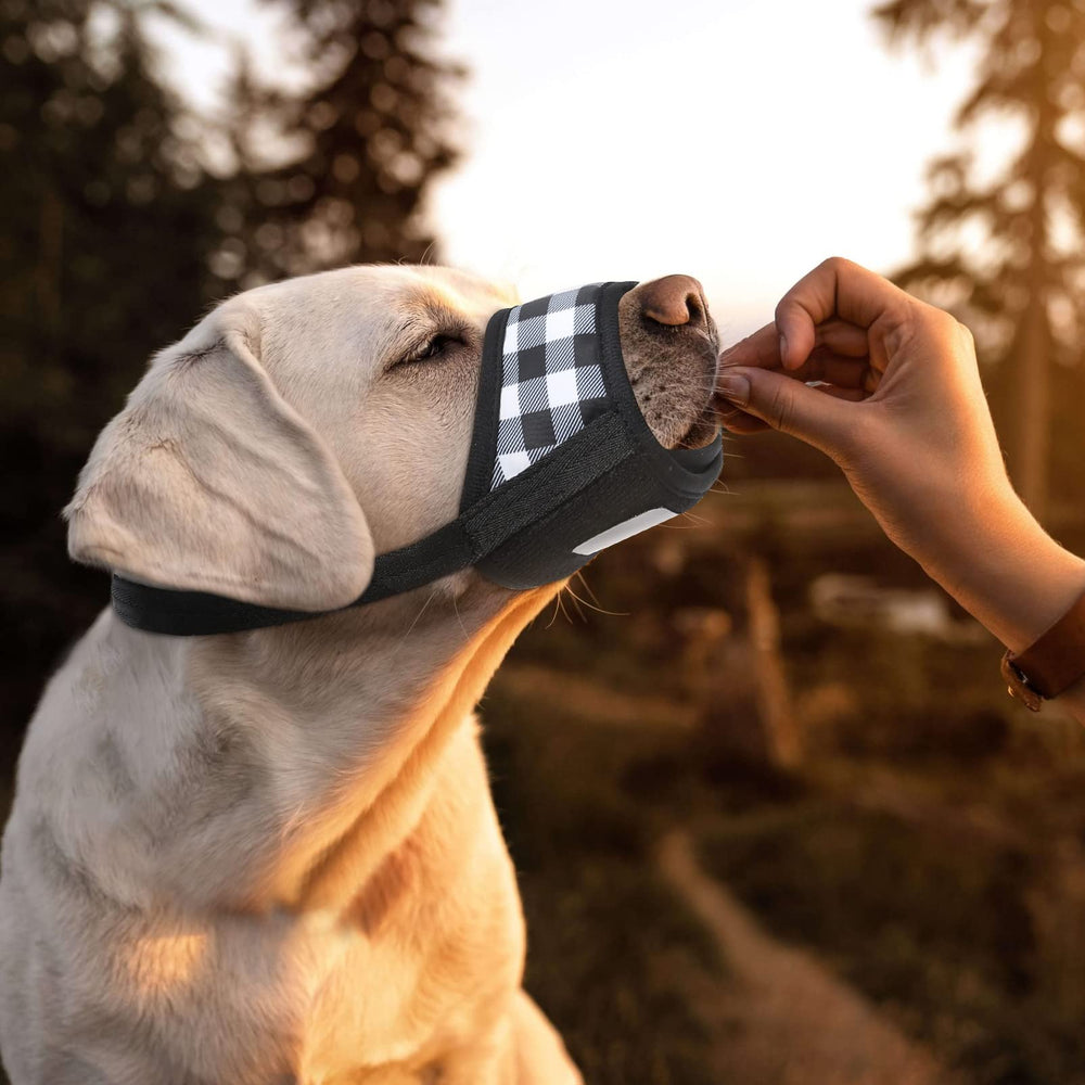 HEELE dog muzzle available in four colors for style and fit