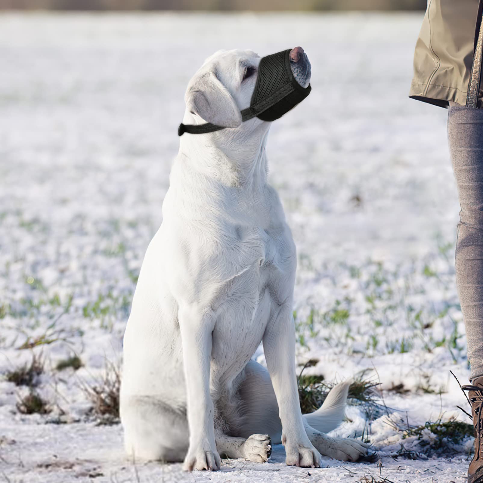 HEELE dog muzzle size-m fits a range of dogs securely.