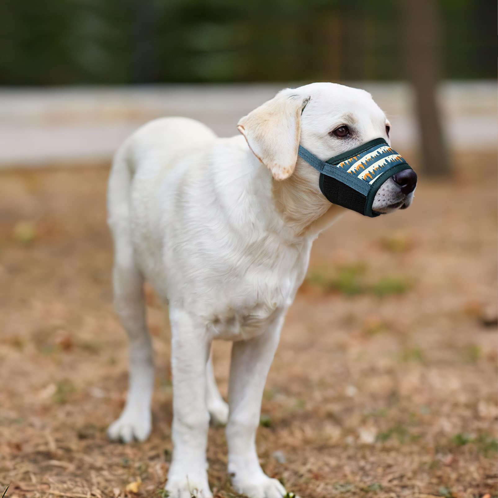 HEELE dog muzzle size-xs-neck-strap helps proper fit for small dogs.