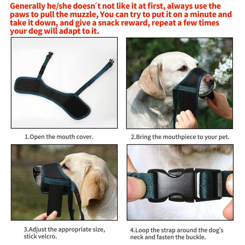 HEELE dog-muzzle soft-padding comforts dogs during training sessions.
