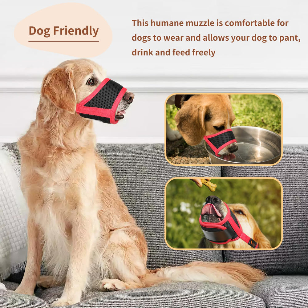 HEELE dog muzzle aids training and safe socialization