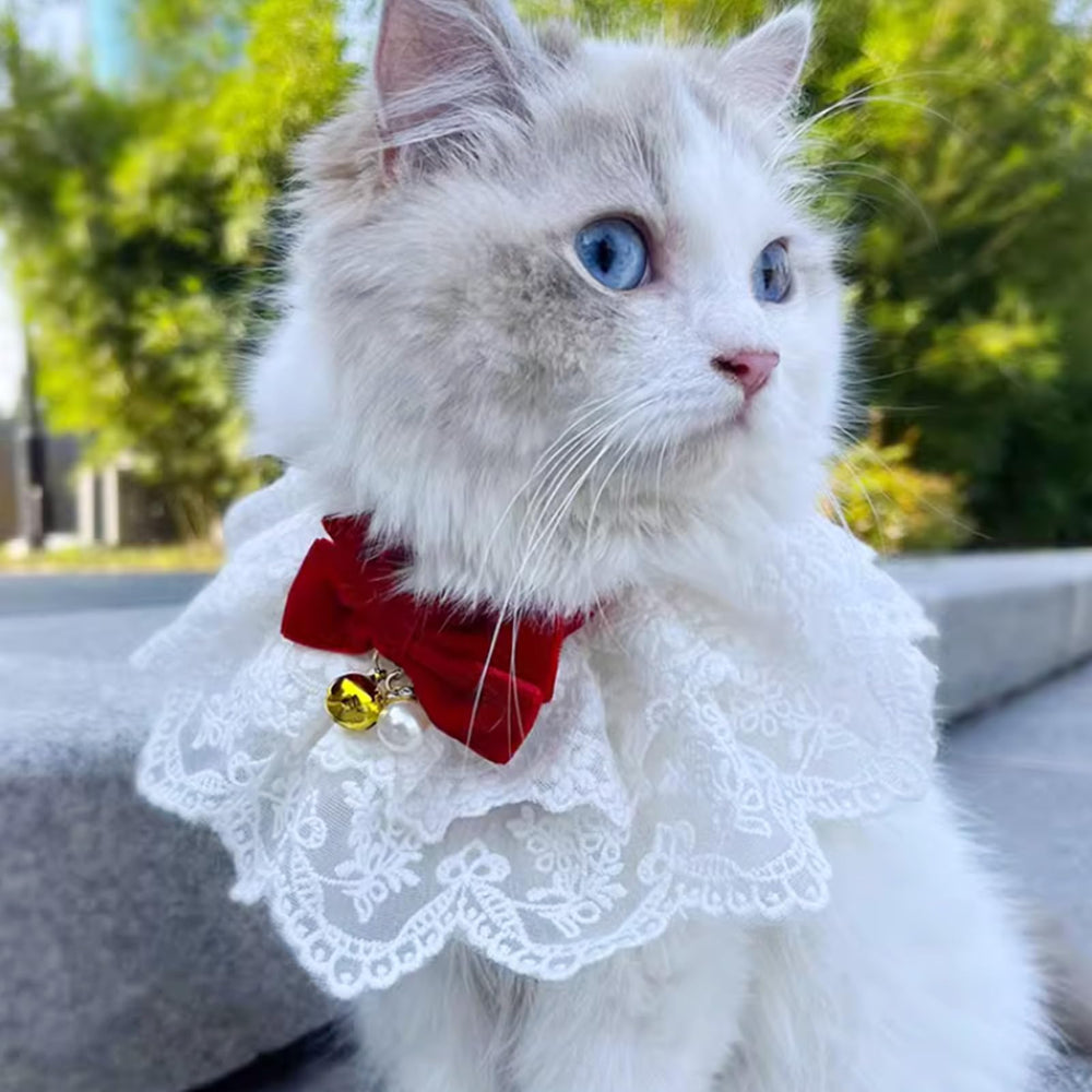 HEEPDD Cat Bandana Style decorative look for special occasions