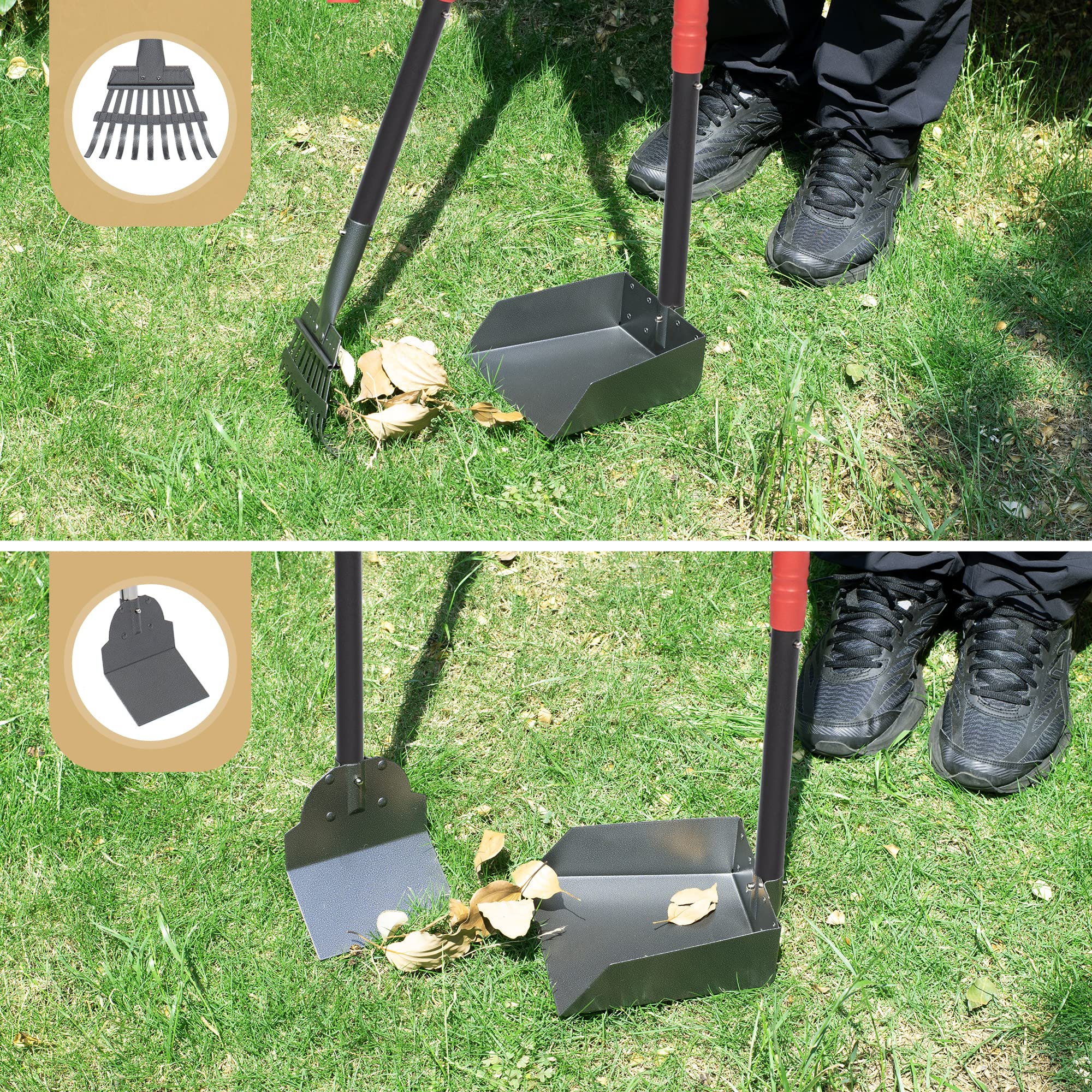 Heeyoo multi-surface use demonstrates versatility on grass and kennels.