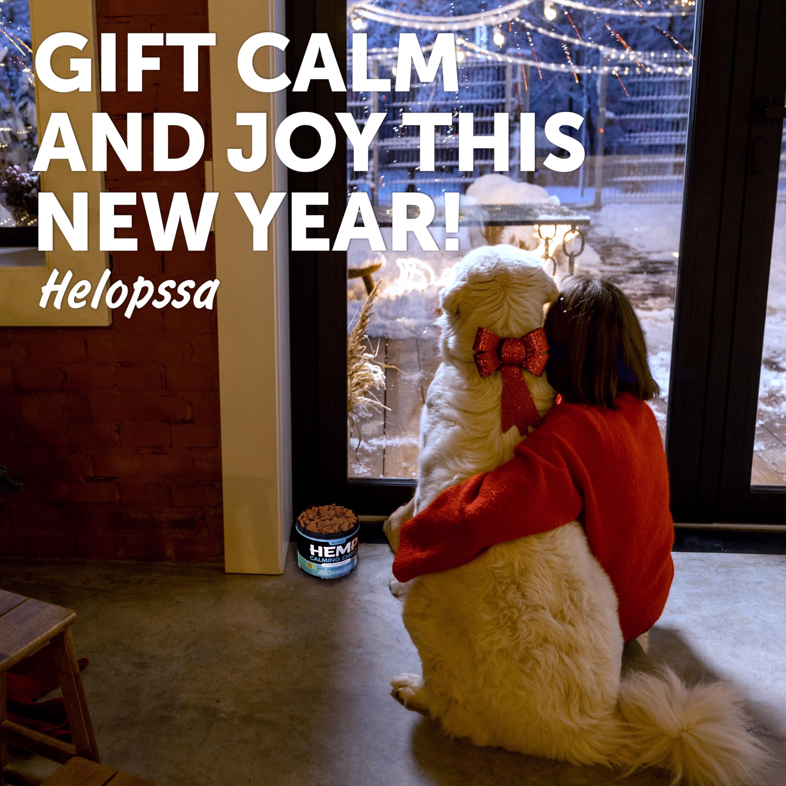 Helopssa dog calm after storm image shows a relaxed, content pet.