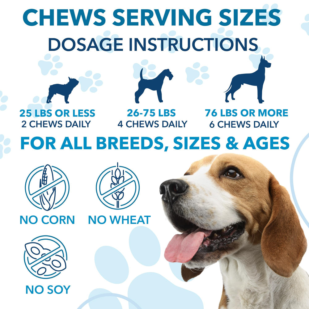 Helopssa dog at vet staying calm with anxiety relief chews.