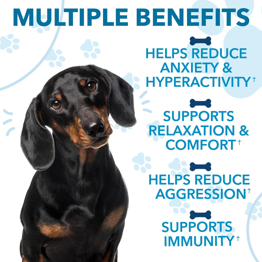 Helopssa ingredients showcase valerian and L-tryptophan for calm mood.