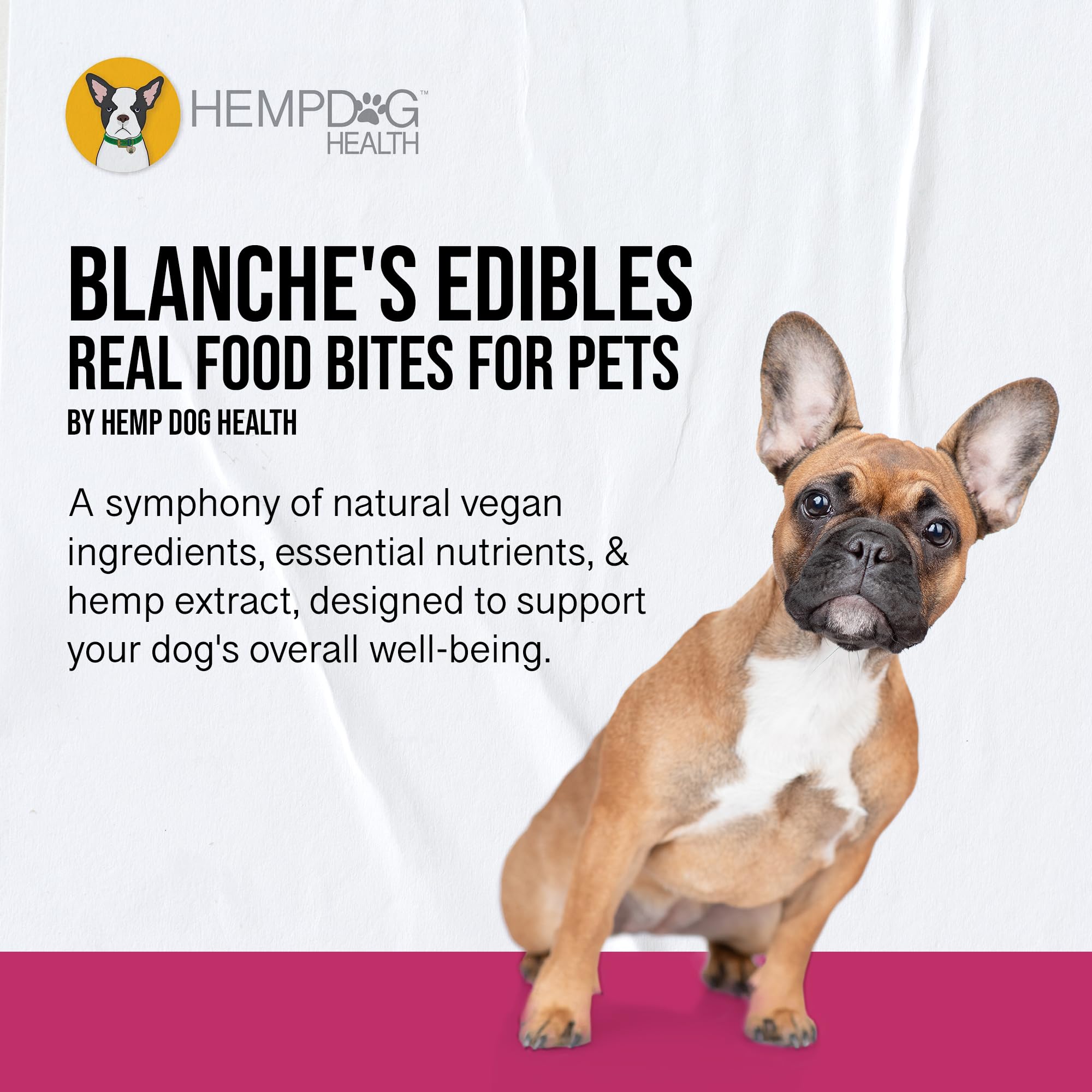 Hemp Dog Health Blanche treats bottle open highlighting grain-free vegan formula for calm dogs.