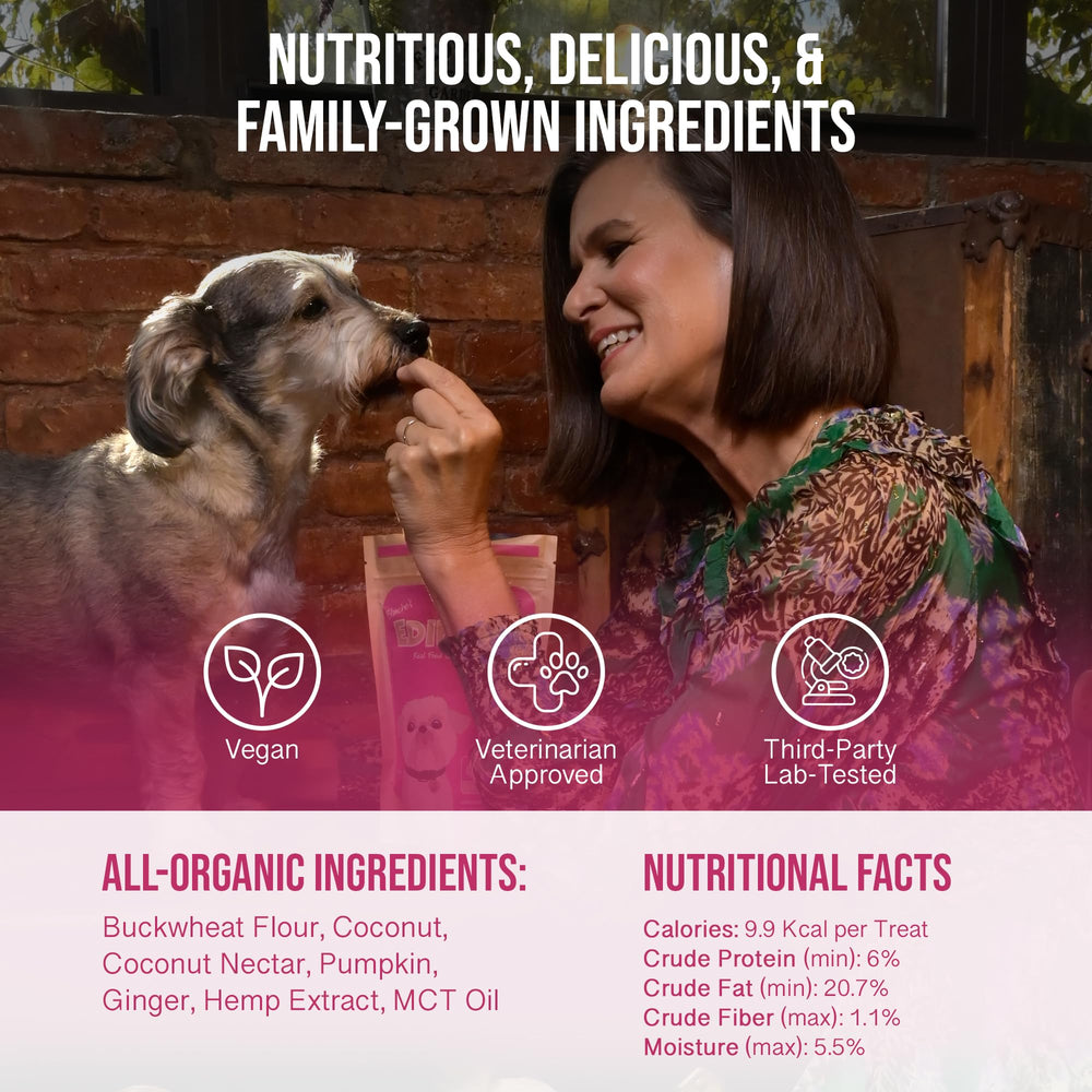 Hemp Dog Health Blanche treats dog ready to enjoy soothing snack.