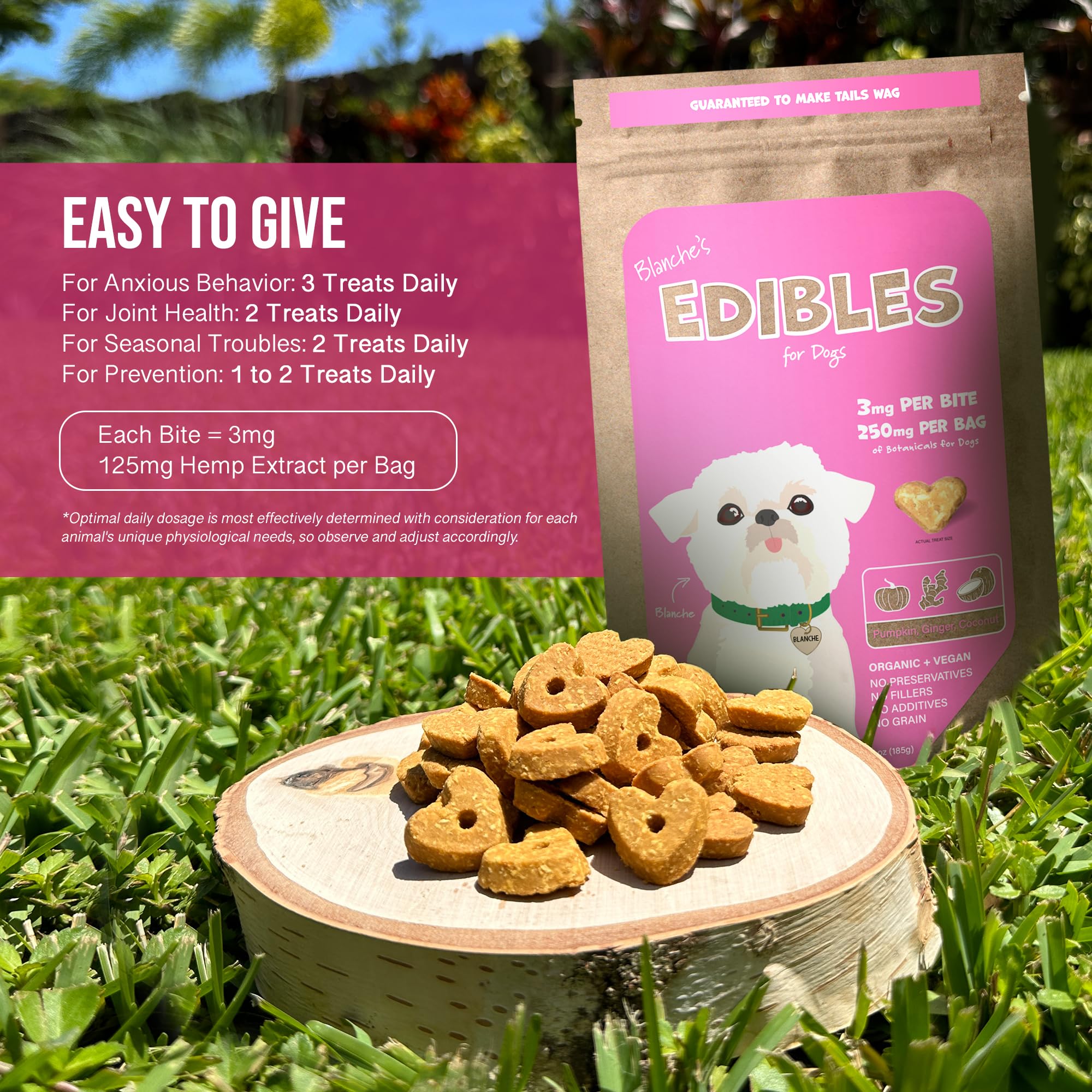 Hemp Dog Health Blanche treats ingredients label highlights natural hemp and coconut oil for wellness.