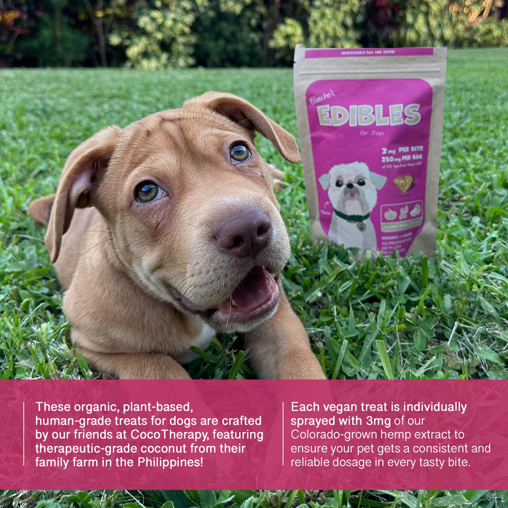 Hemp Dog Health Blanche treats soft texture ideal for chewers seeking gentle calm.