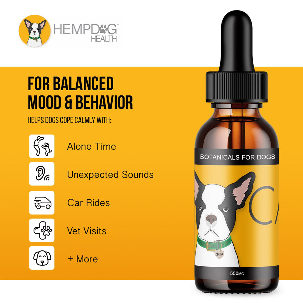 Hemp Dog Health Calm bottle beside lavender sprigs for soothing aroma.