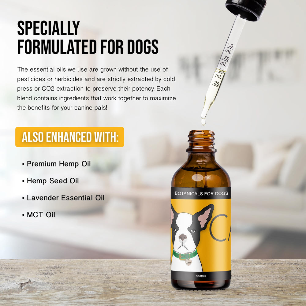 Hemp Dog Health Calm family-friendly packaging supports separation and at-home calm.