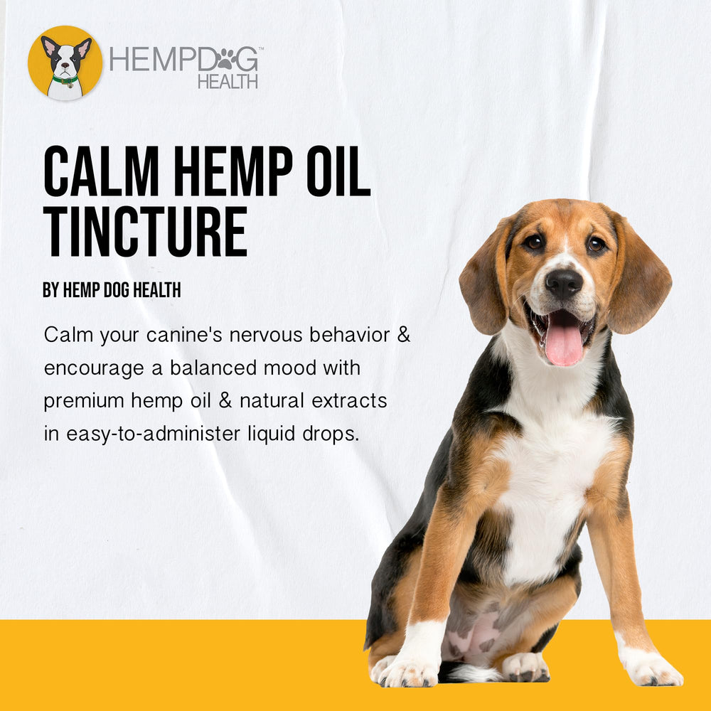 Hemp Dog Health Calm drops on travel-ready bottle for travel anxiety.