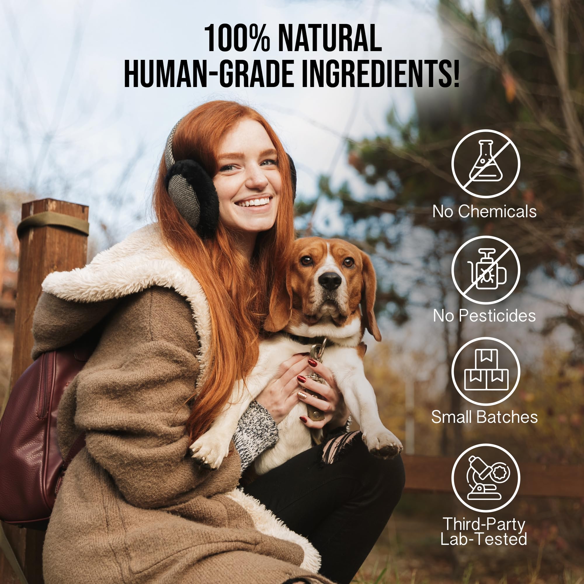 Hemp Dog Health Ease with dog during outdoor walk for mobility support.