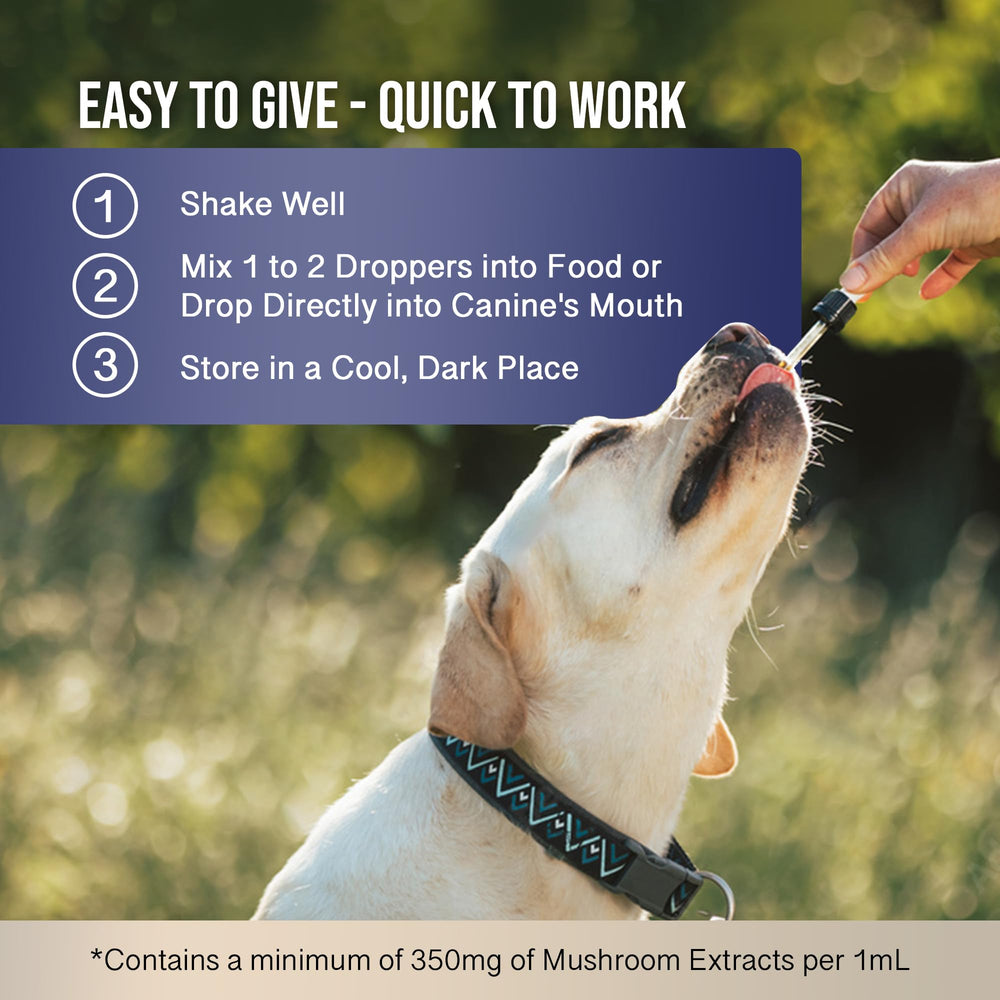 MycoDog Breathe with ashwagandha for calm, balanced behavior.