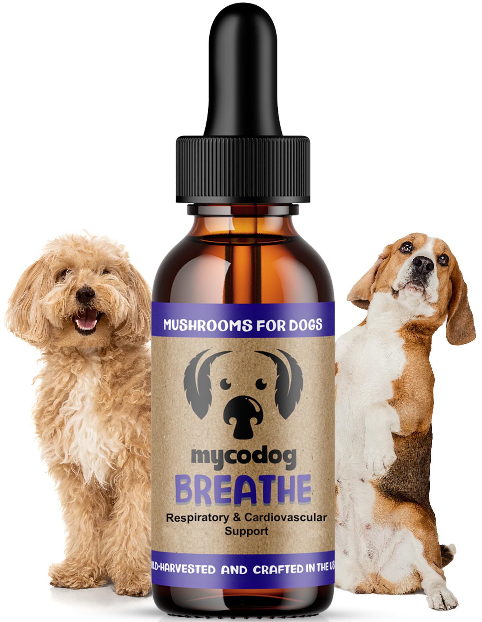 MycoDog Breathe bottle close-up highlighting natural mushroom blend for breathing comfort.