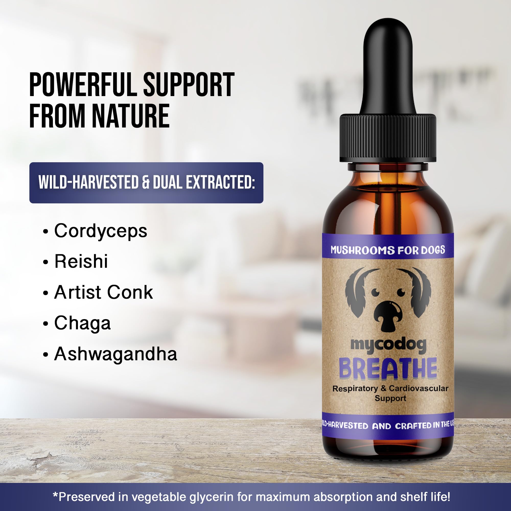 MycoDog Breathe mushroom blend close-up highlights Reishi, Chaga, Cordyceps.