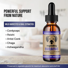 MycoDog Breathe mushroom blend close-up highlights Reishi, Chaga, Cordyceps.