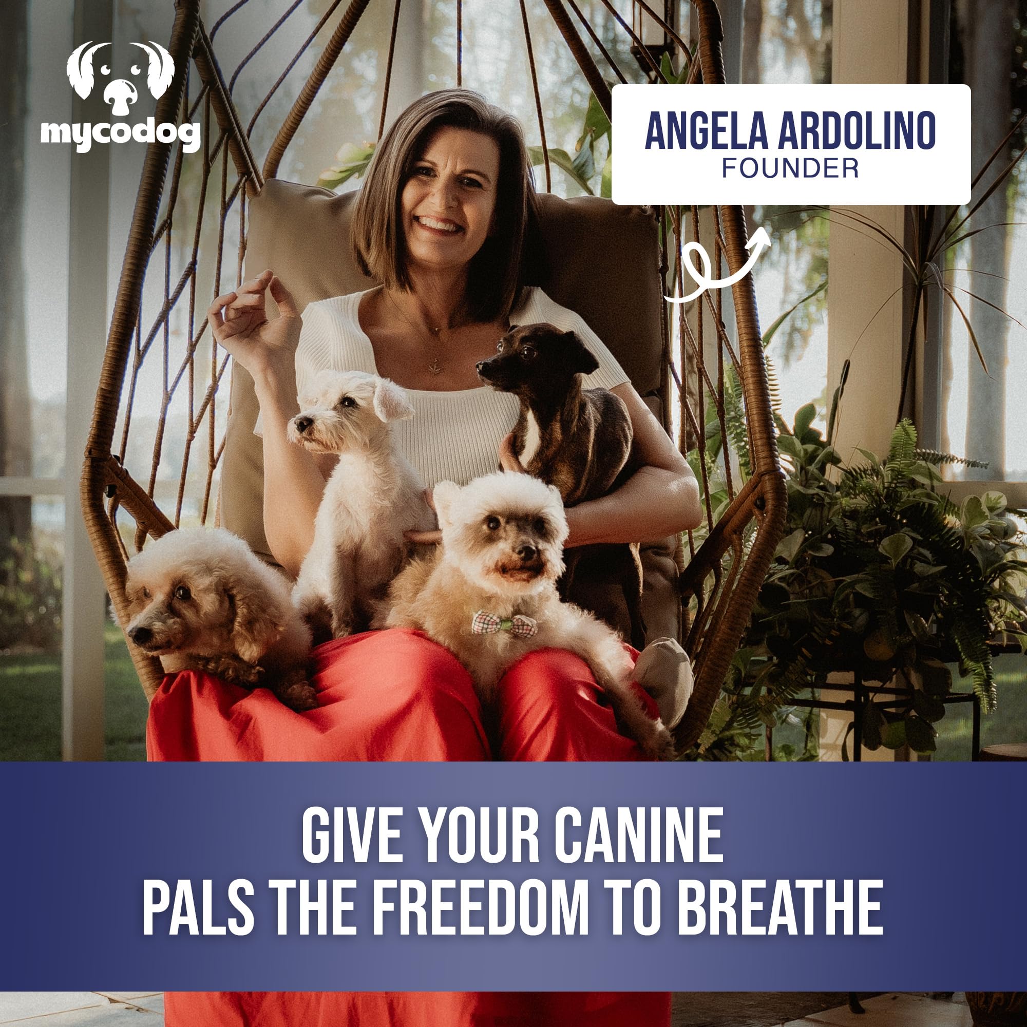 MycoDog Breathe USA-made formula supports daily comfort in dogs.