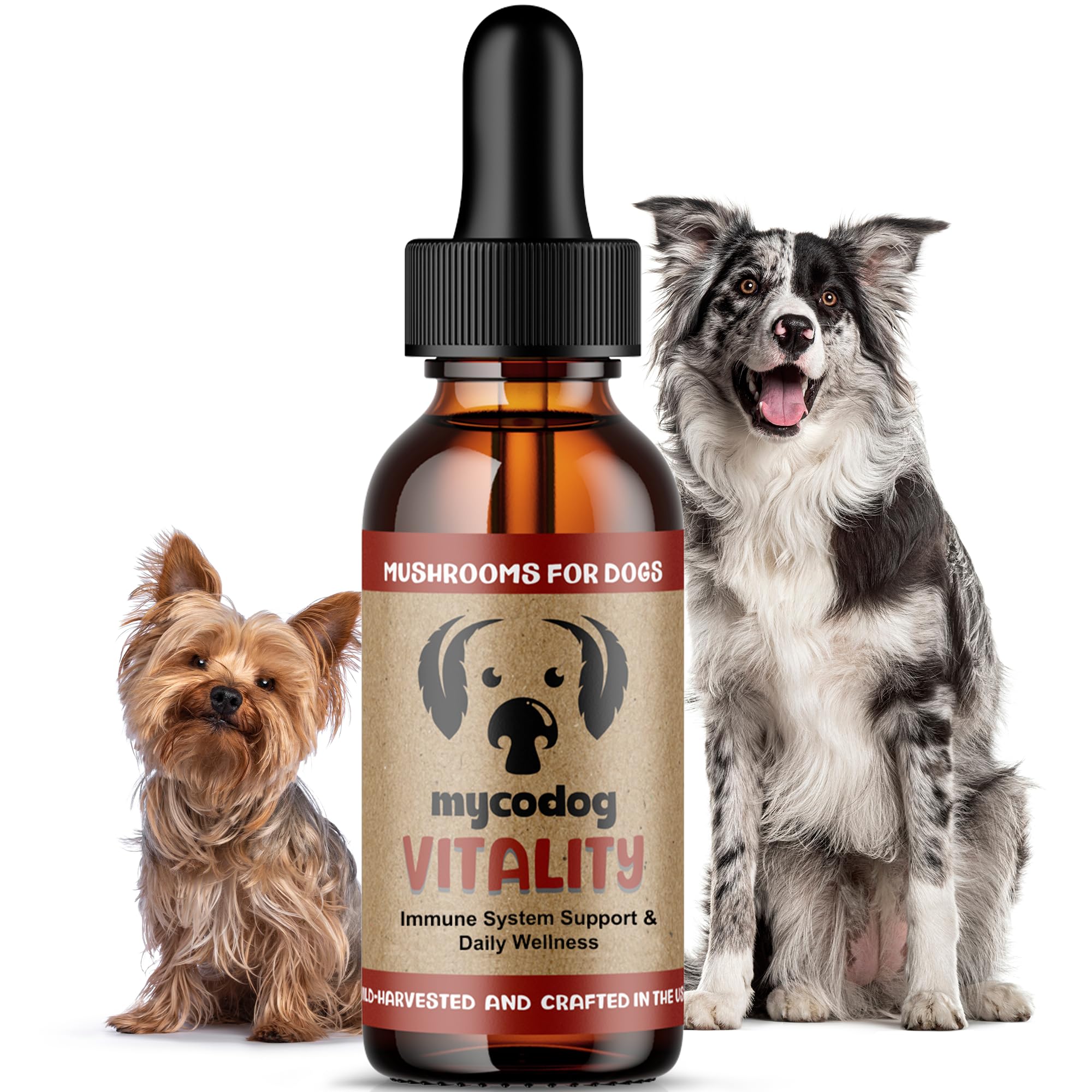 Hemp Dog Health MycoDog Vitality bottle label highlights immune support for dogs.