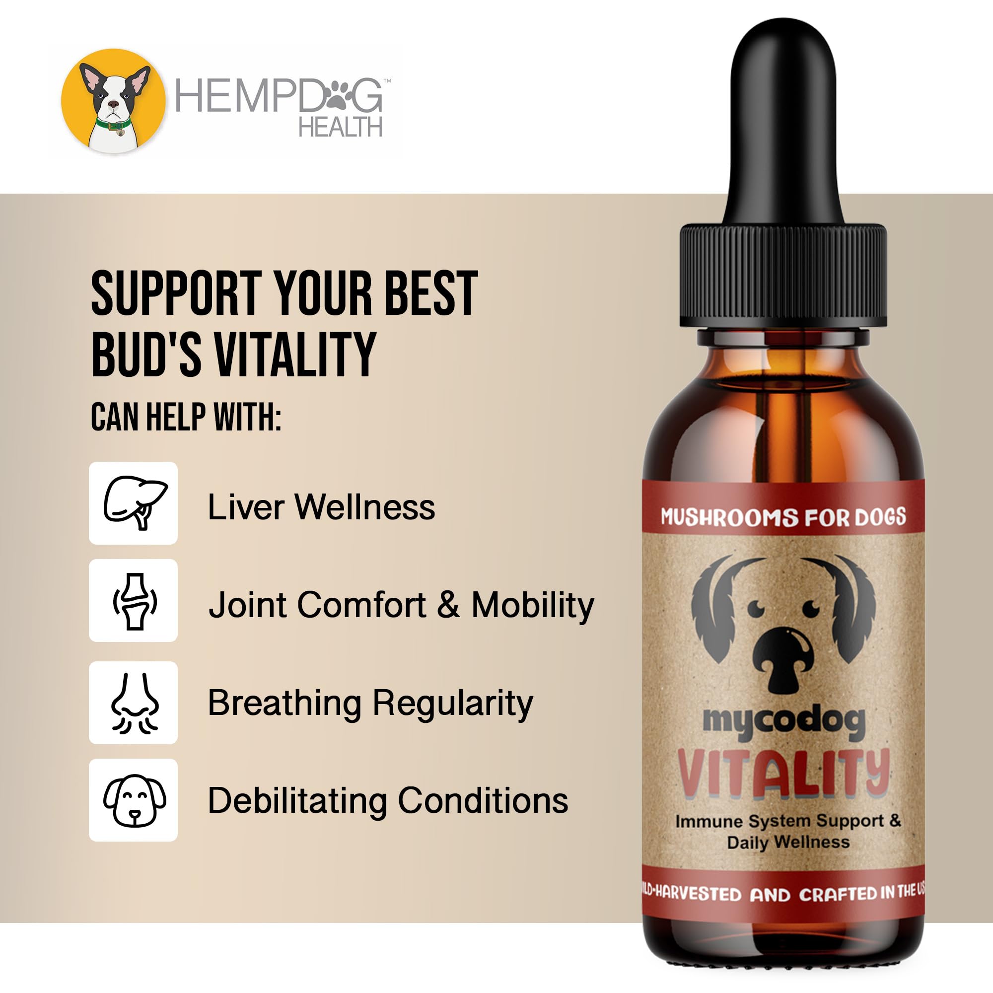 A dog takes MycoDog Vitality, illustrating easy integration into daily routine.