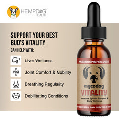 A dog takes MycoDog Vitality, illustrating easy integration into daily routine.