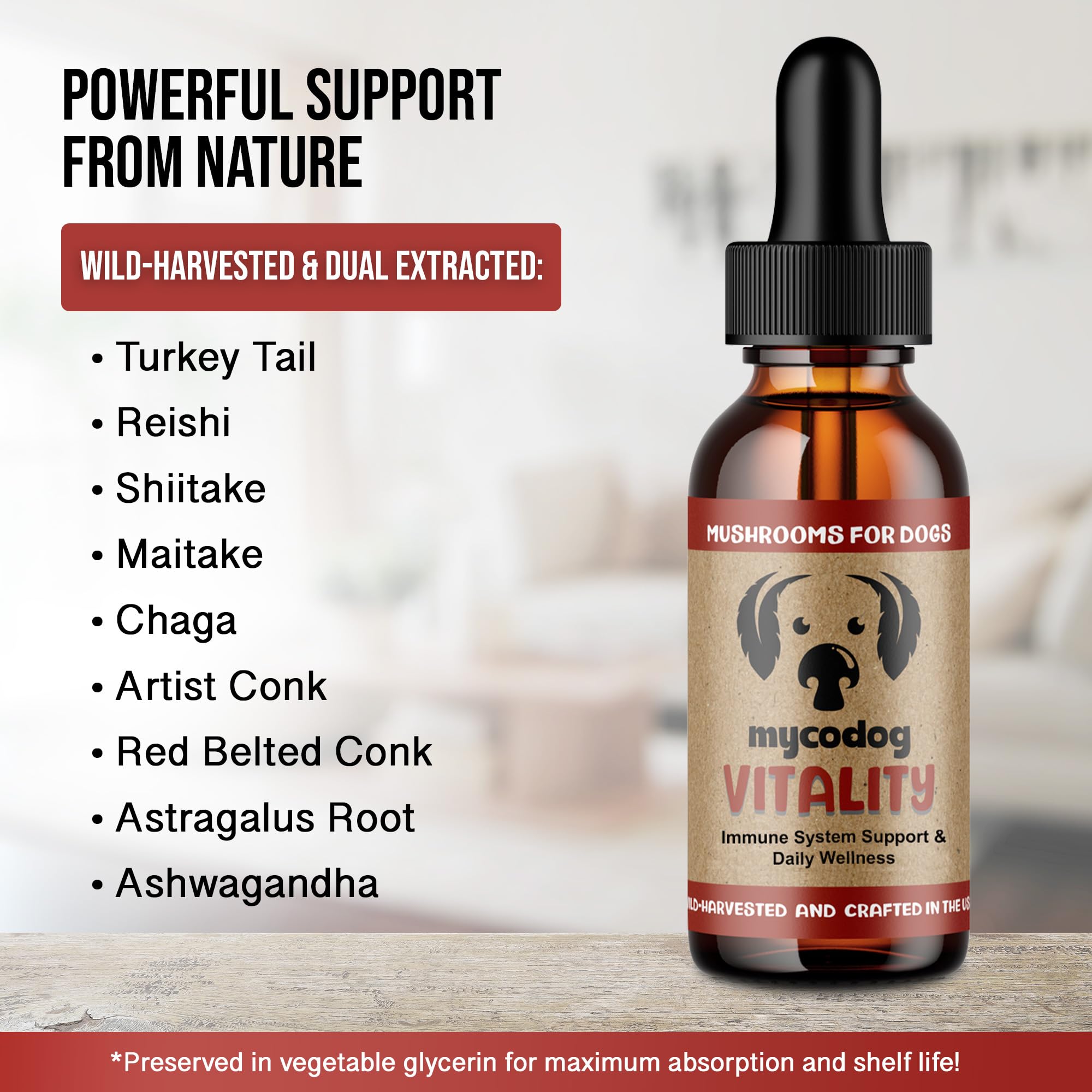 Close-up of mushroom blend ingredients shows turkey tail and reishi for immune support.