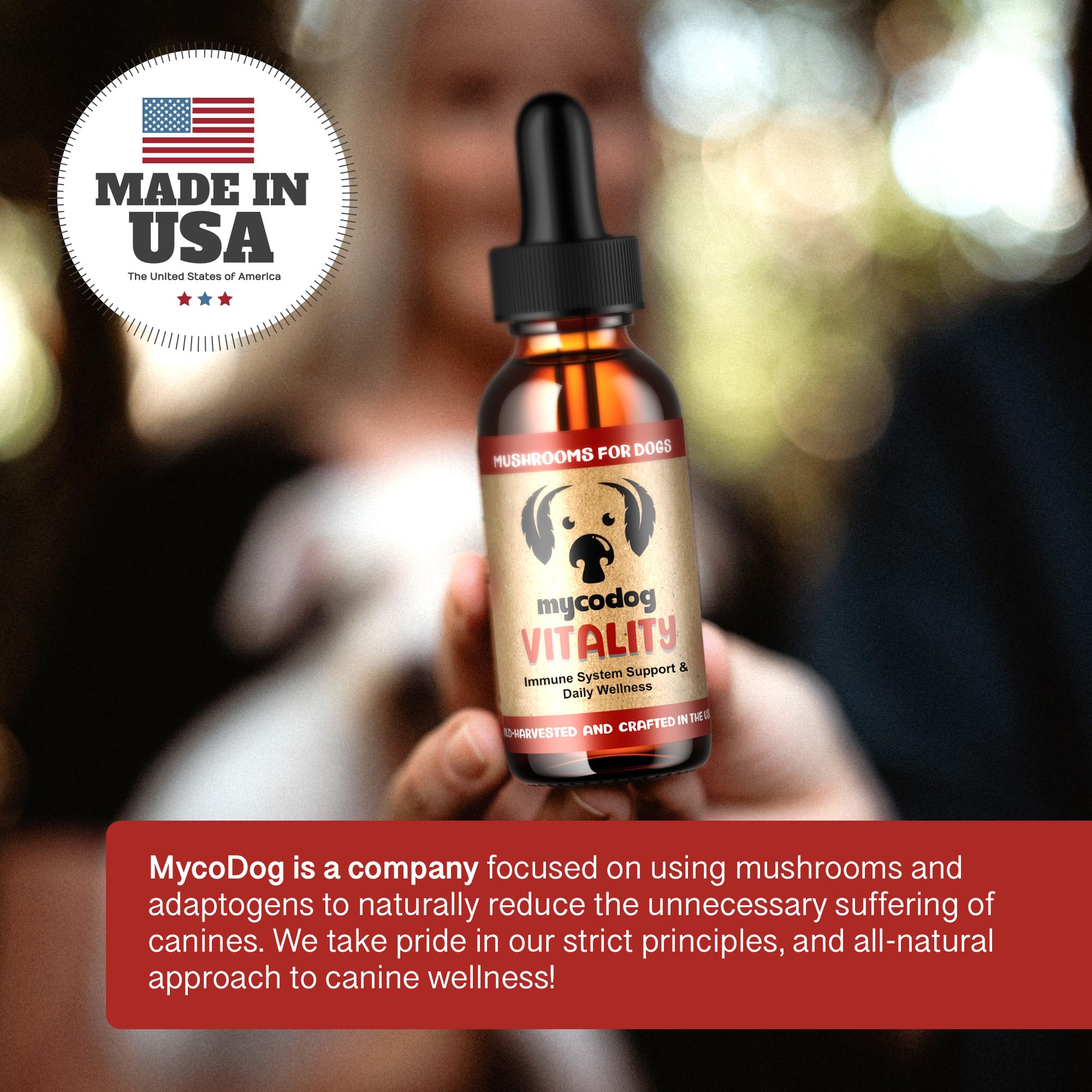 Mushroom-mix powder in a bowl demonstrates daily vitality for dogs.