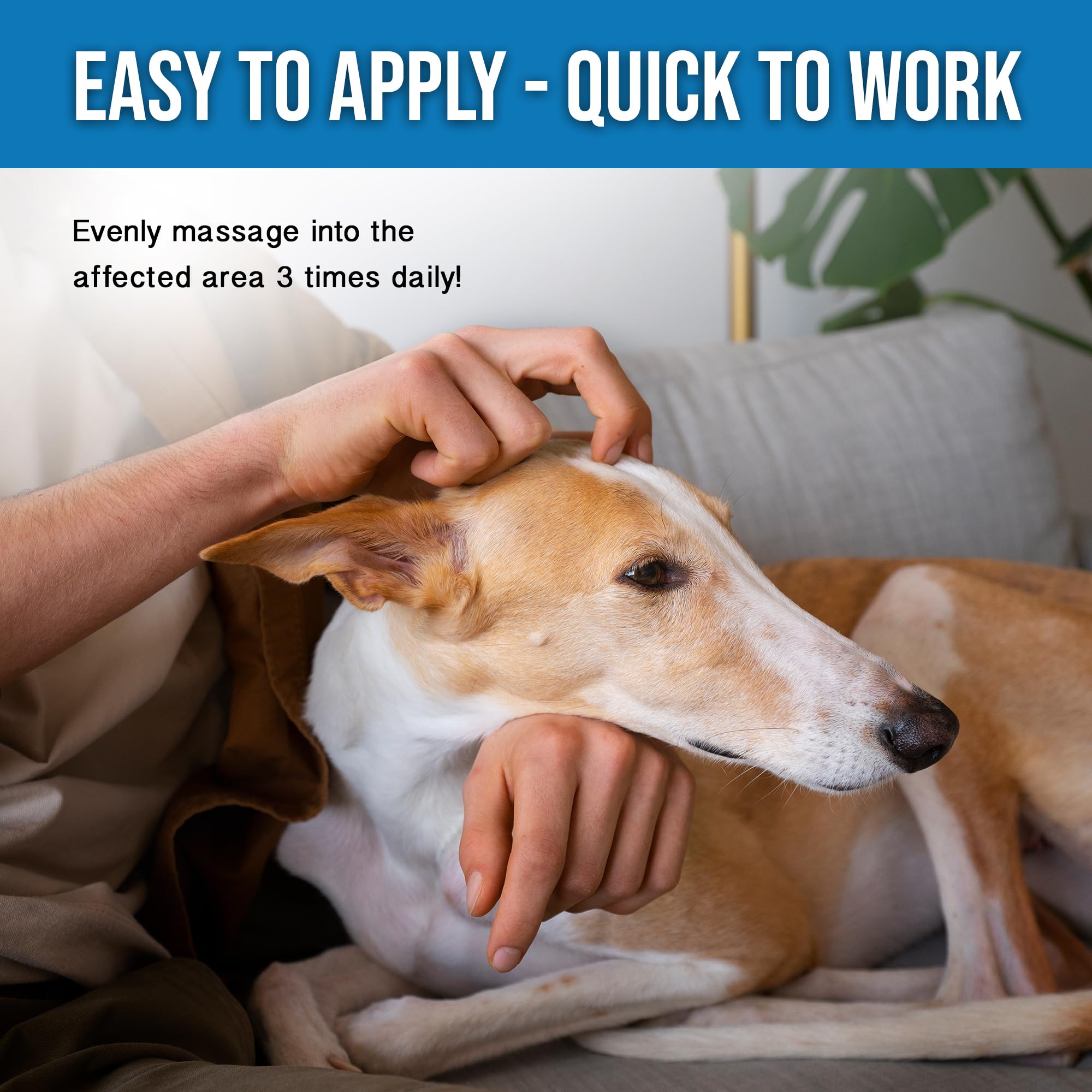 Hemp Dog Health Remedy with eucalyptus and arnica oils aroma evokes calming, natural relief